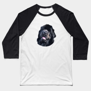 Newfoundland Puppy Dog Very Cute Baseball T-Shirt